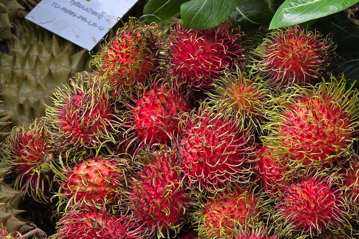 Fruit work