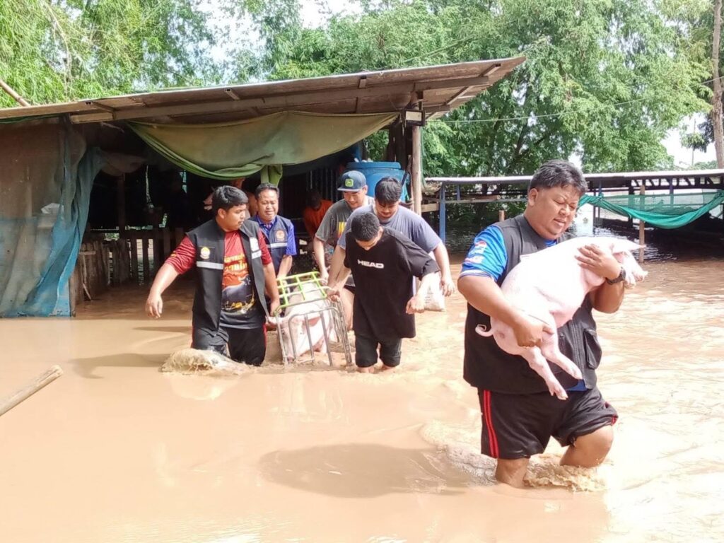 สุโขทัย 5 อำเภอจมบาดาล มวลน้ำก้อนใหญ่จากจ.แพร่ทะลักท่วม เร่งอพยพคน-ปศุสัตว์