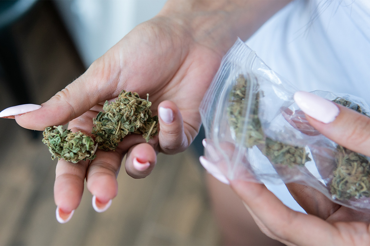 cannabis