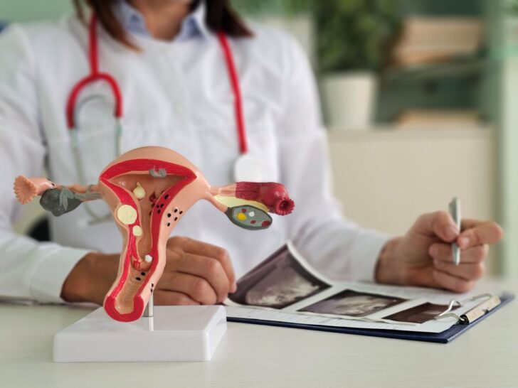doctor-shows-anatomical-model-uterus-with-fetus-closeup รักษามะเร็งปากมดลูกด้วย Oncothermia : นวัตกรรมคลื่นความร้อน เพื่อทำลายเซลล์มะเร็ง