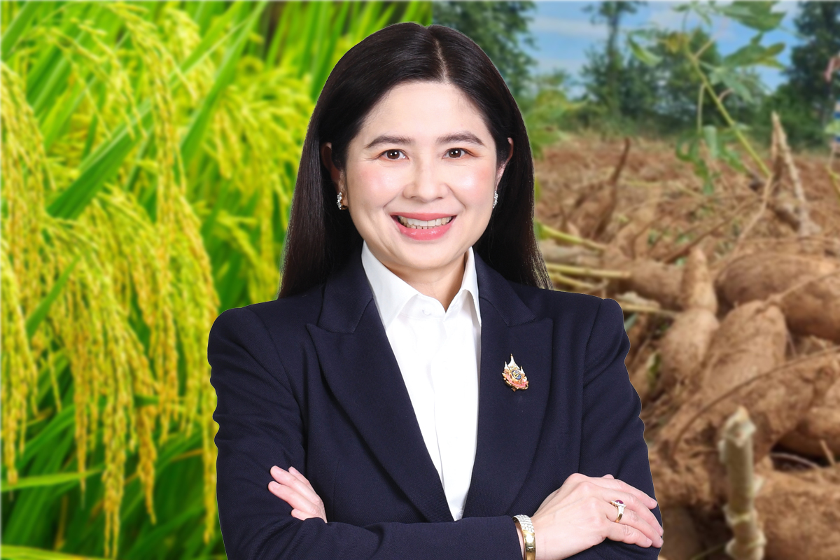 เปิดแผนรุกส่งออกครึ่งปีหลัง ดัน ‘ข้าว-มัน’ ฝ่าวิกฤตราคาตก