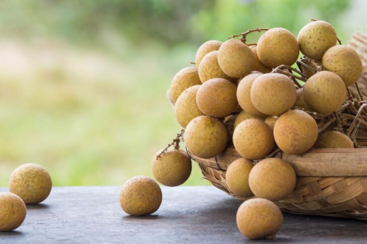 ราคาลำไยตกต่ำสุดในรอบเกือบ 11 ปี