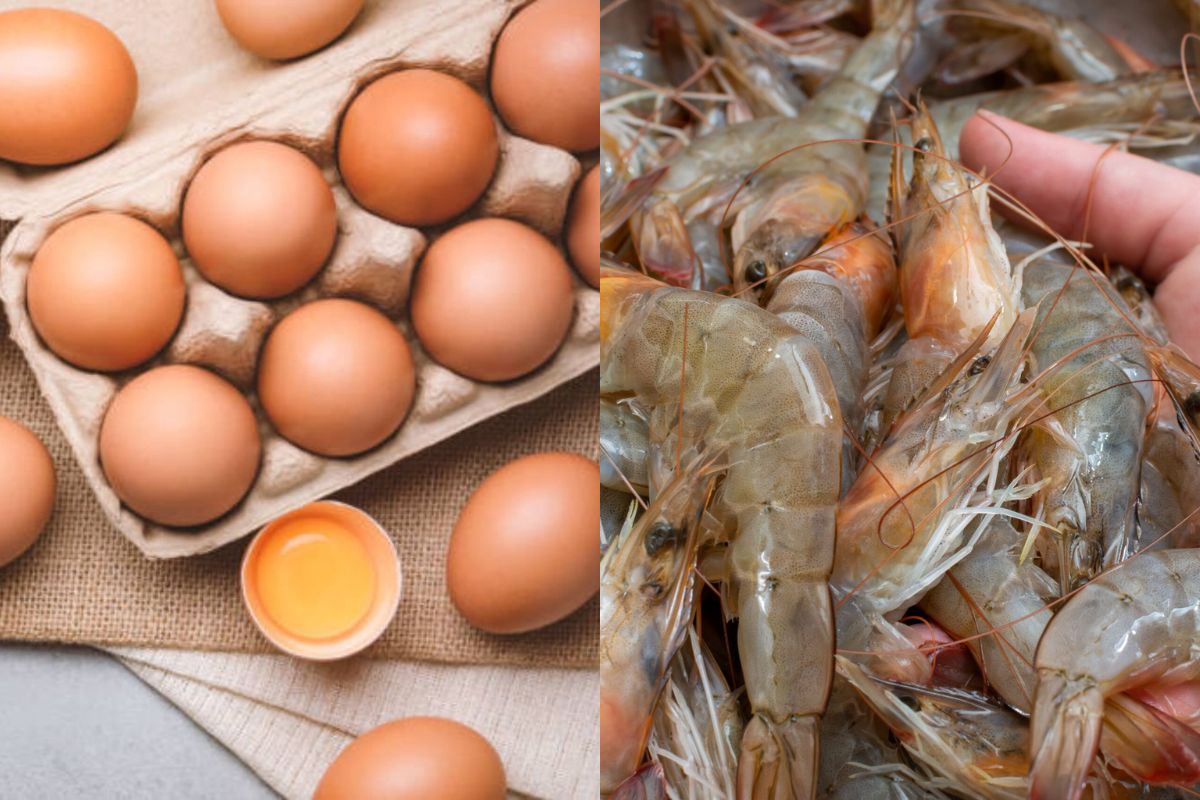 ไข่ไก่-กุ้งล้นตลาด พาณิชย์เร่งเชื่อมโยงผลผลิต สกัดราคาตก
