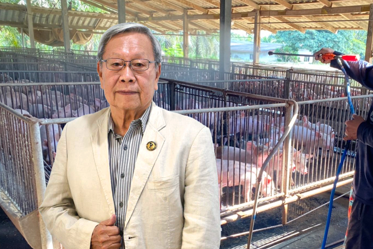 ผู้เลี้ยงหวั่นสู้ ‘หมูนำเข้า’ ไม่ได้ ชี้ไทยต้นทุน ‘อาหารสัตว์’ สูงกว่า