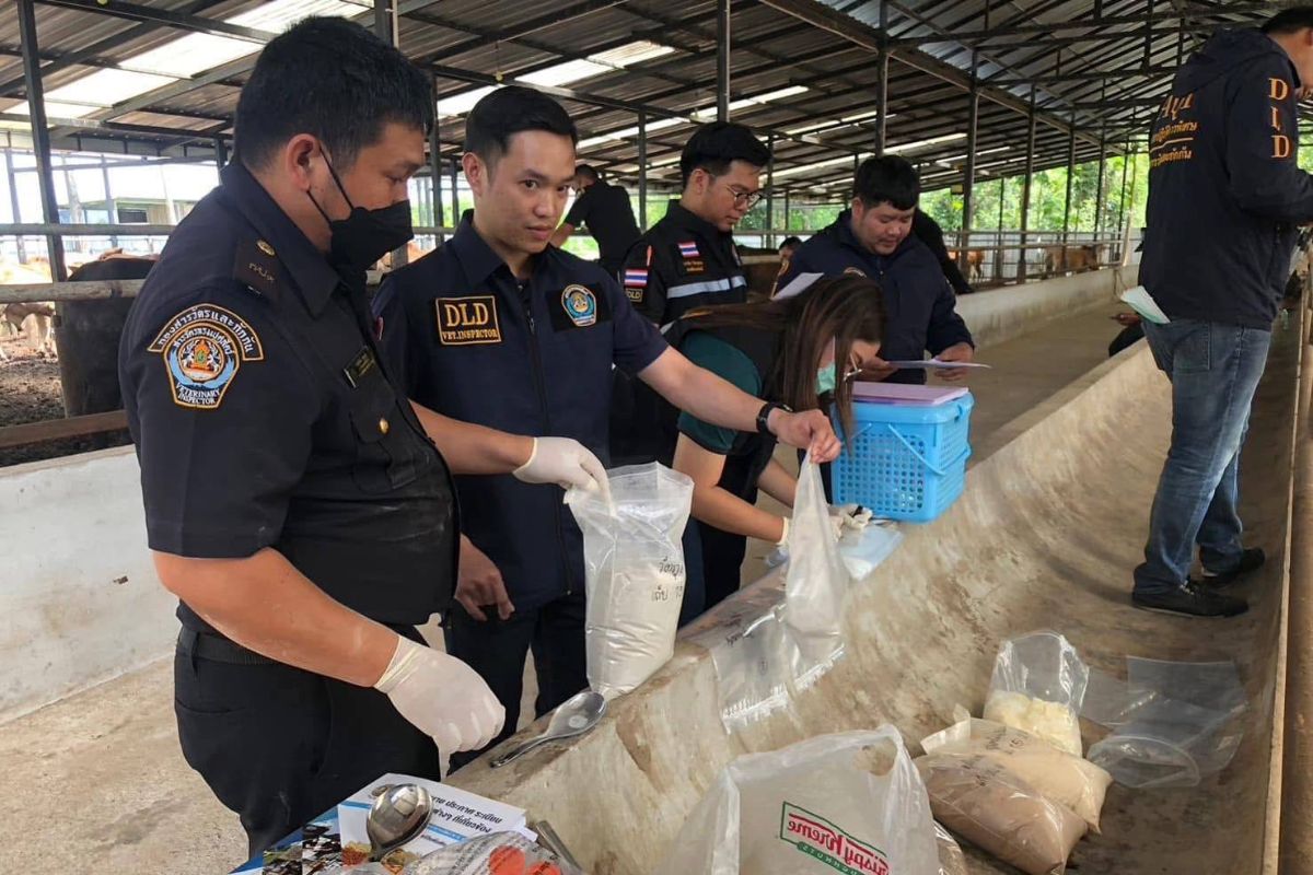 อธิบดีกรมปศุสัตว์ลั่นจุดยืนห้ามใช้สารเร่งเนื้อแดงทุกขั้นตอนผลิต