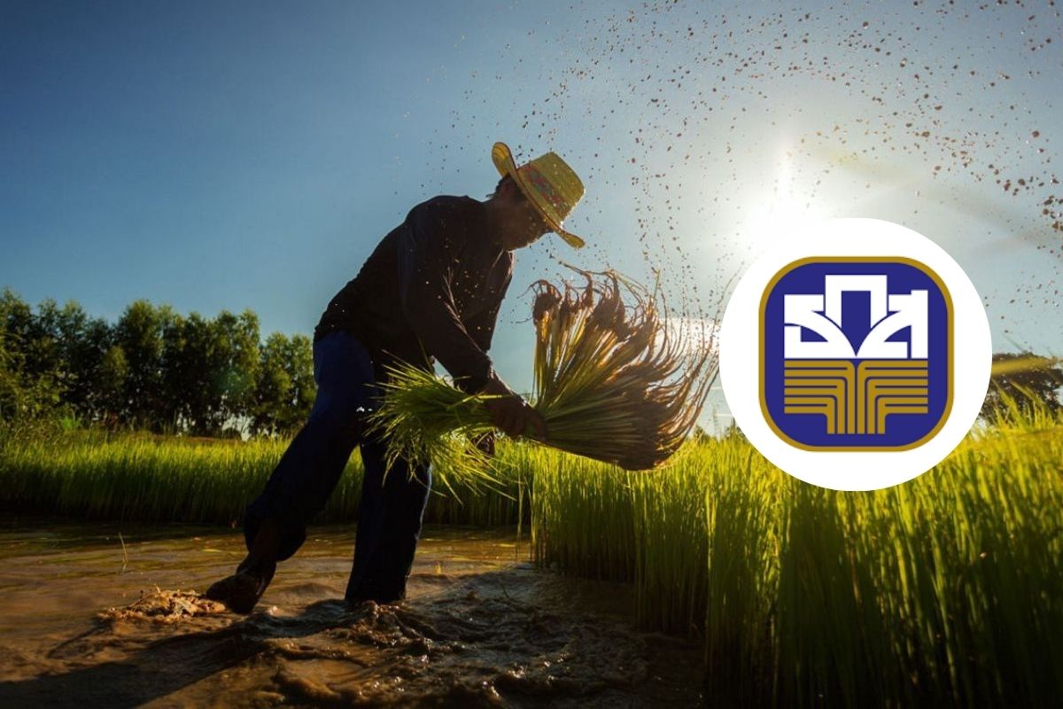 ธ.ก.ส.ชงบอร์ดอนุมัติดอกเบี้ยคนละครึ่ง 3% วงเงิน 3 หมื่นล้าน 30 เม.ย.นี้