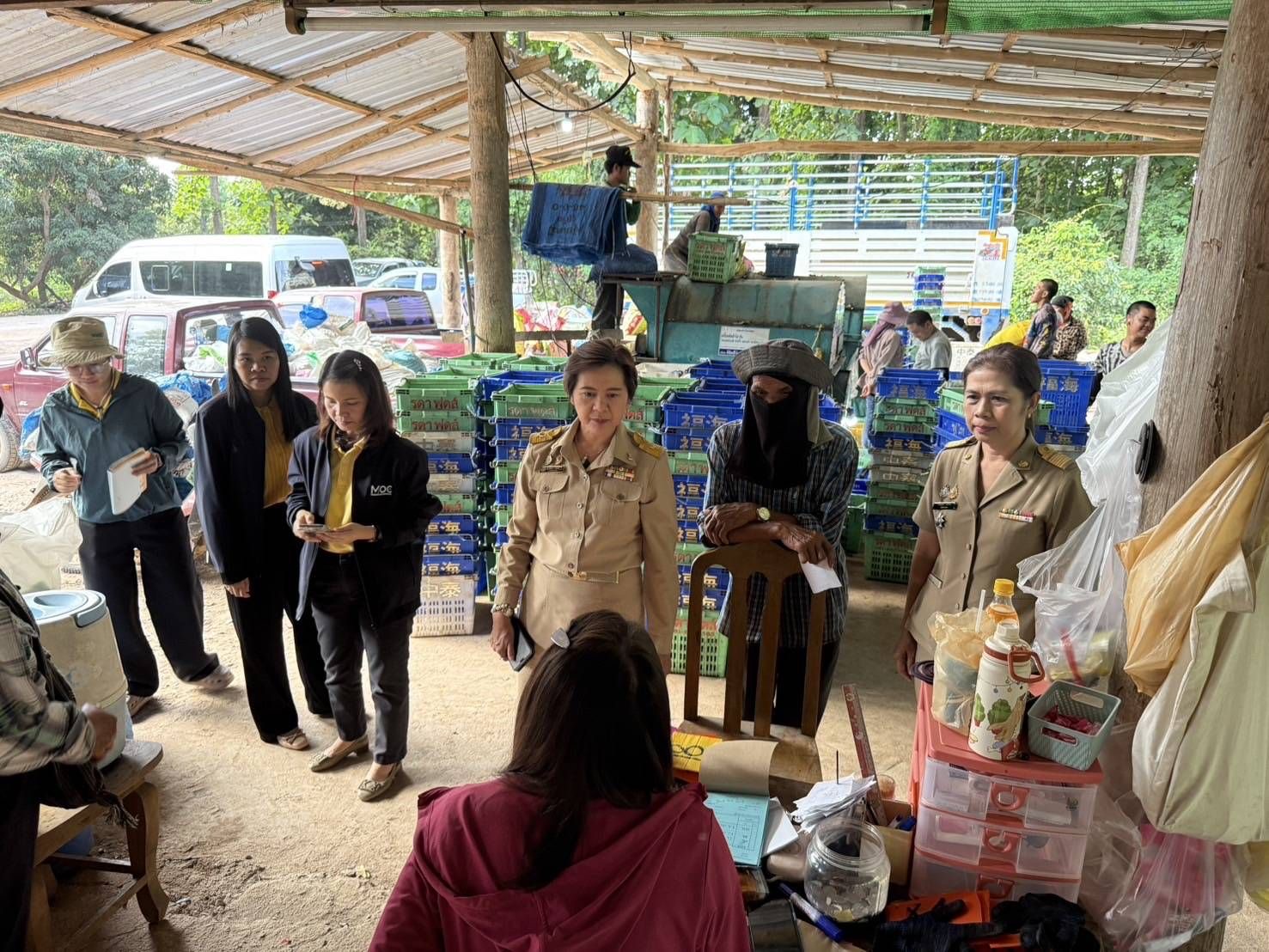 “พาณิชย์” เปิดจุดรับซื้อลำไย ช่วยเกษตรกรขายผลผลิตช่วงออกพีก
