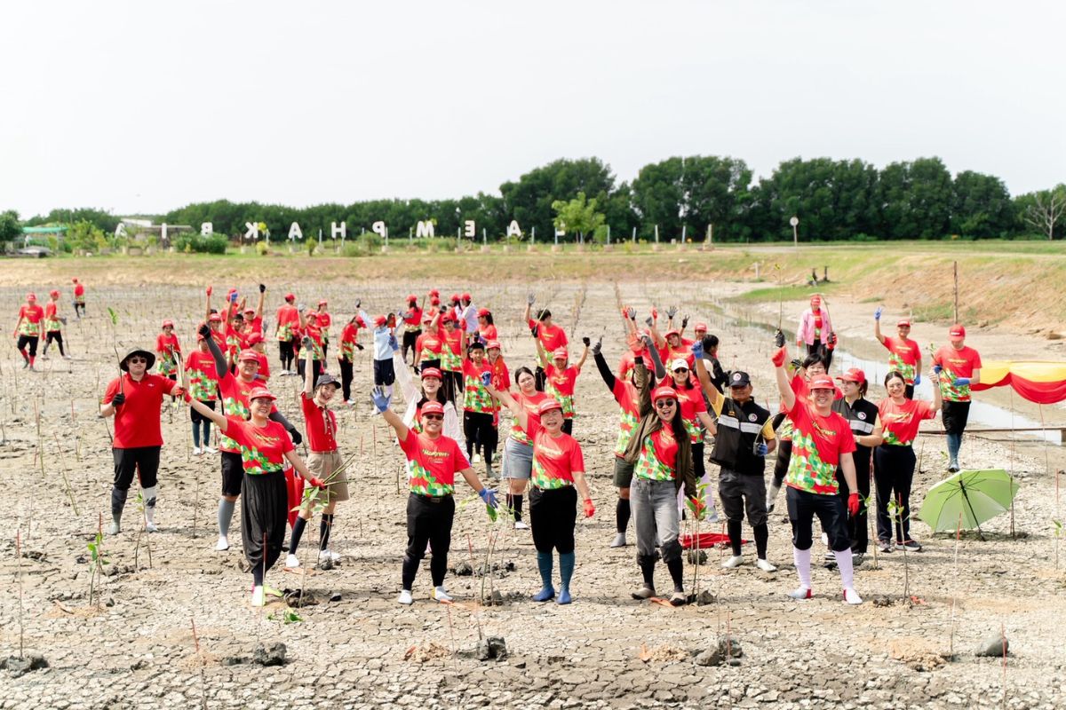 เดินหน้าโครงการ “Fly Green” ปลูกโกงกาง 50,000 ต้น ฟื้นฟูชายฝั่งเพชรบุรี