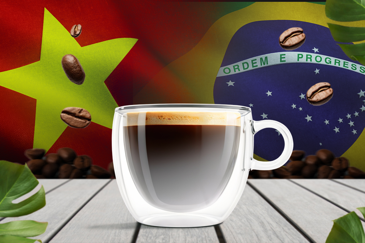 เวียดนามเห็นโอกาส หลังทรัมป์ลงดาบภาษีกาแฟบราซิล 50%