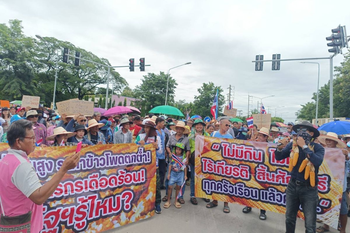 ผู้ปลูกข้าวโพดเลี้ยงสัตว์ ยื่น 3 ข้อเสนอรัฐเร่งแก้ปัญหา ก่อนยกระดับชุมนุม