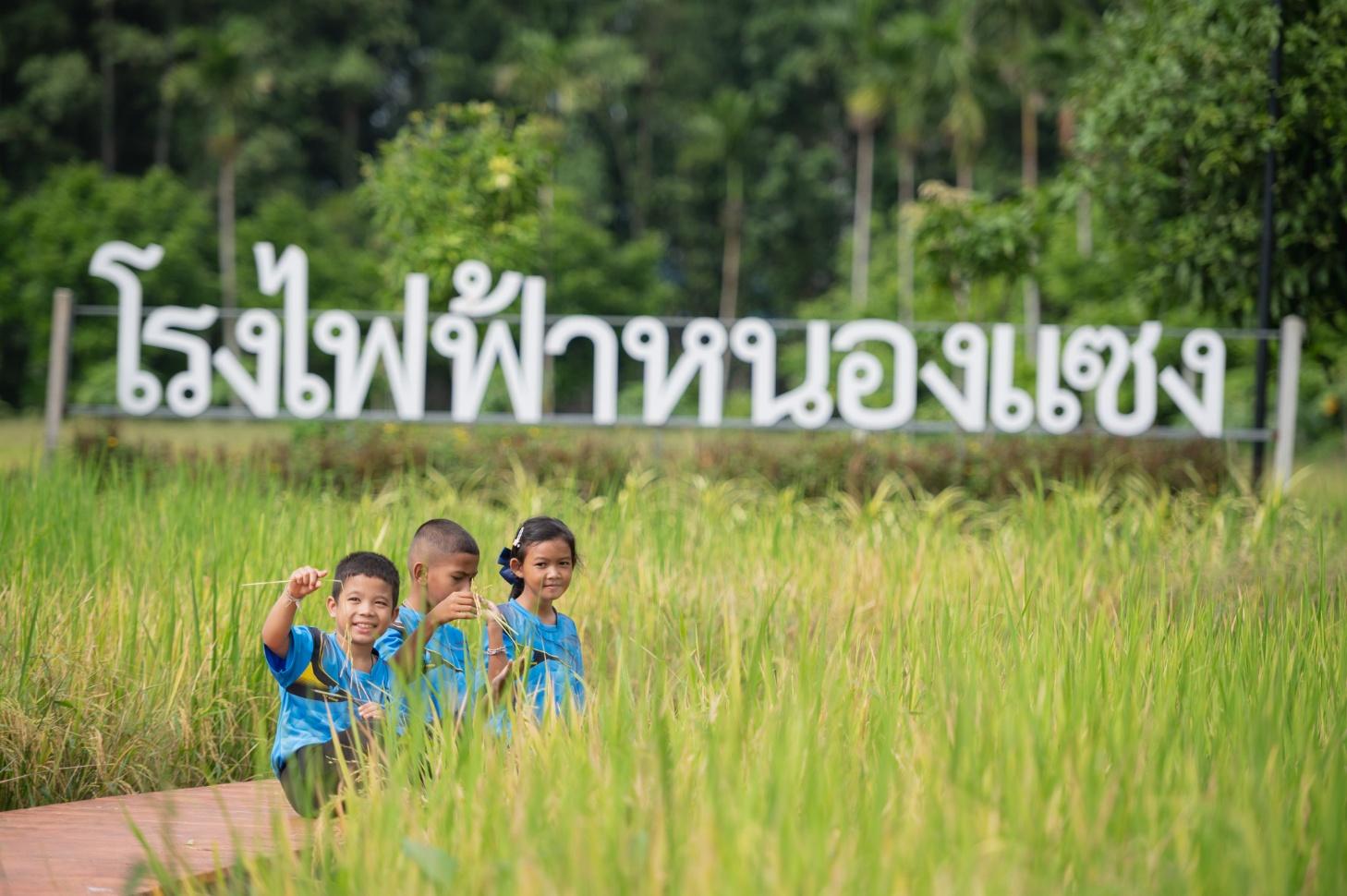 1 ทศวรรษ ศูนย์การเรียนรู้เกษตรฯ โรงไฟฟ้าหนองแซง  GULF โชว์นวัตกรรมเกษตรอินทรีย์ครบวงจร