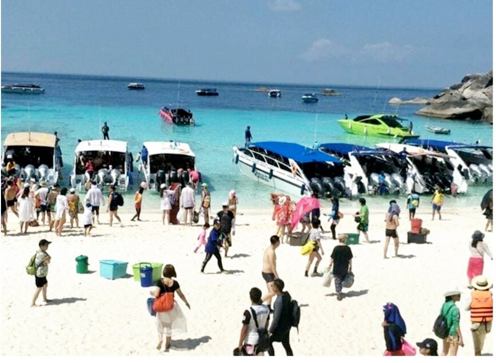 นักท่องเที่ยวที่ชายหาด
