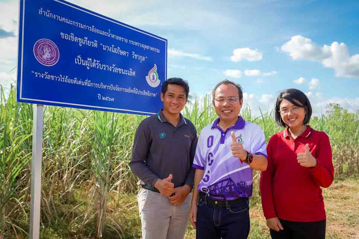 สอน.คุมเข้ม อ้อยสดงดเผา ชงรัฐบาลใหม่ชดเชยตันละ 69 บาทเท่าเดิม