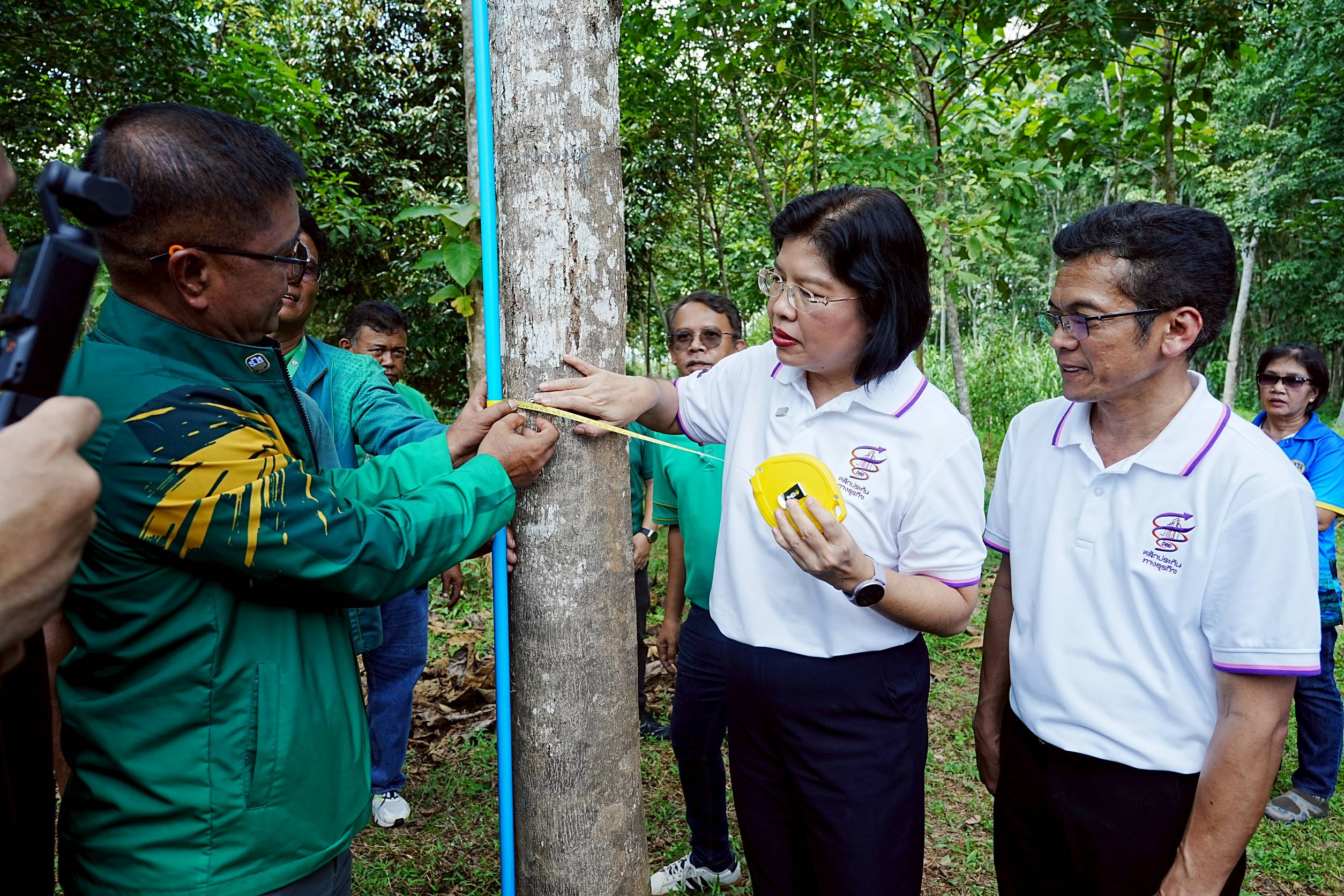 ปี 2568 พาณิชย์ หนุนเกษตรกร ใช้ไม้ยืนต้นค้ำกู้เงินได้กว่า 1.8 ล้านบาท