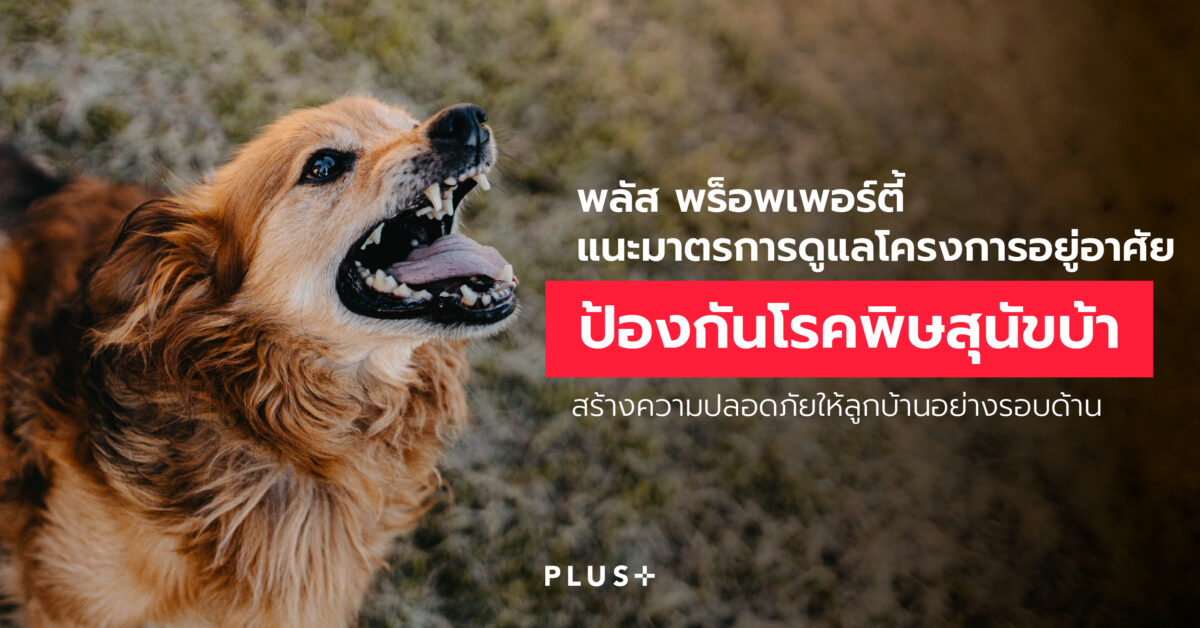 ข่าว