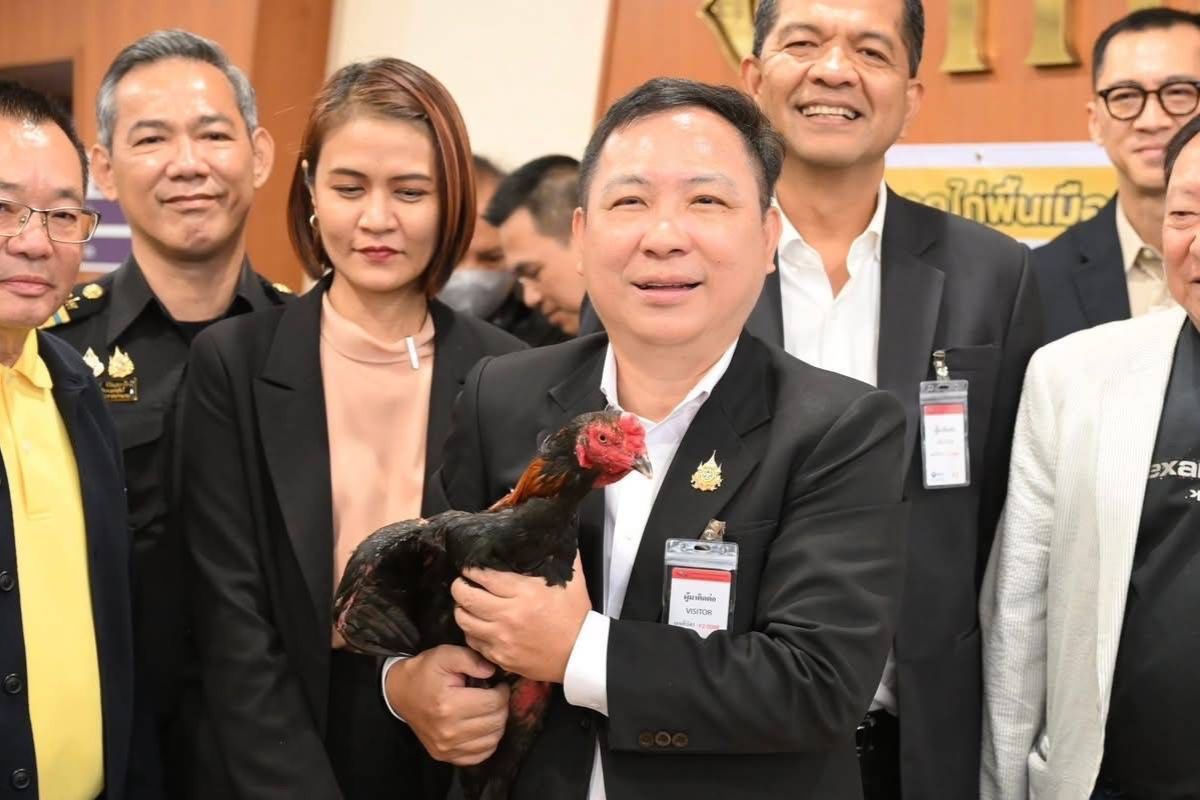 ส่งออกไก่พื้นเมืองไทย ‘Ayam Bangkok’ ไปอินโดนีเซีย มูลค่า 4 ล้านบาท