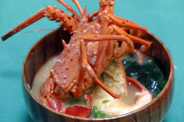 ชาวประมงจับกุ้งมังกรญี่ปุ่น (อิเสะเอบิ) ลอตแรกของฤดูกาล