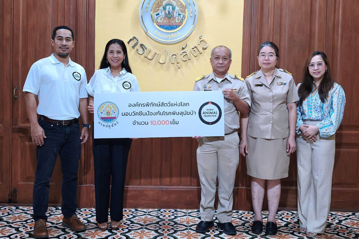 องค์กรพิทักษ์สัตว์แห่งโลก ส่งมอบวัคซีนพิษสุนัขบ้าต่อเนื่อง 10,000 เข็ม