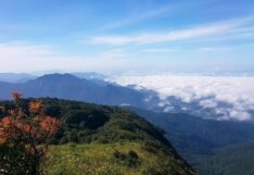 กรมอุตุนิยมวิทยา 7 วันข้างหน้า เตือนรับลมหนาวระลอกใหม่ 4-9 พ.ย.นี้ กรมอุตุนิยมวิทยา อากาศเย็น ดอยอินทนนท์