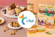 อาหารสัตว์เลี้ยงปัง ! ITC โชว์ยอดขาย Q3 ทะลุ 4.7 พันล้าน กำไรพุ่ง 15.4% ITC อาหารสัตว์เลี้ยง