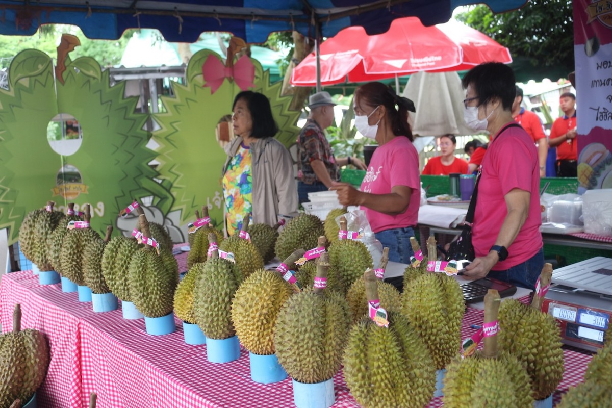 Mueang Song Kwae