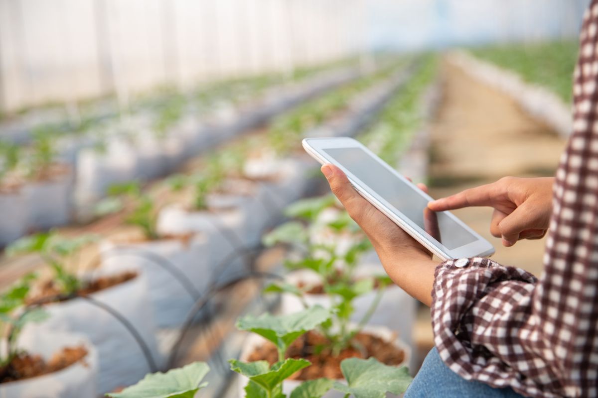 ธ.ก.ส. จัดสินเชื่อ Smart Tech หนุนเกษตรกรสู่ Smart Farmer ดอกเบี้ย 5.625%