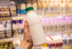 ส่องตลาดนมโปรตีน 5 ยี่ห้อในไทย มีอะไรบ้าง ? โปรตีน นม