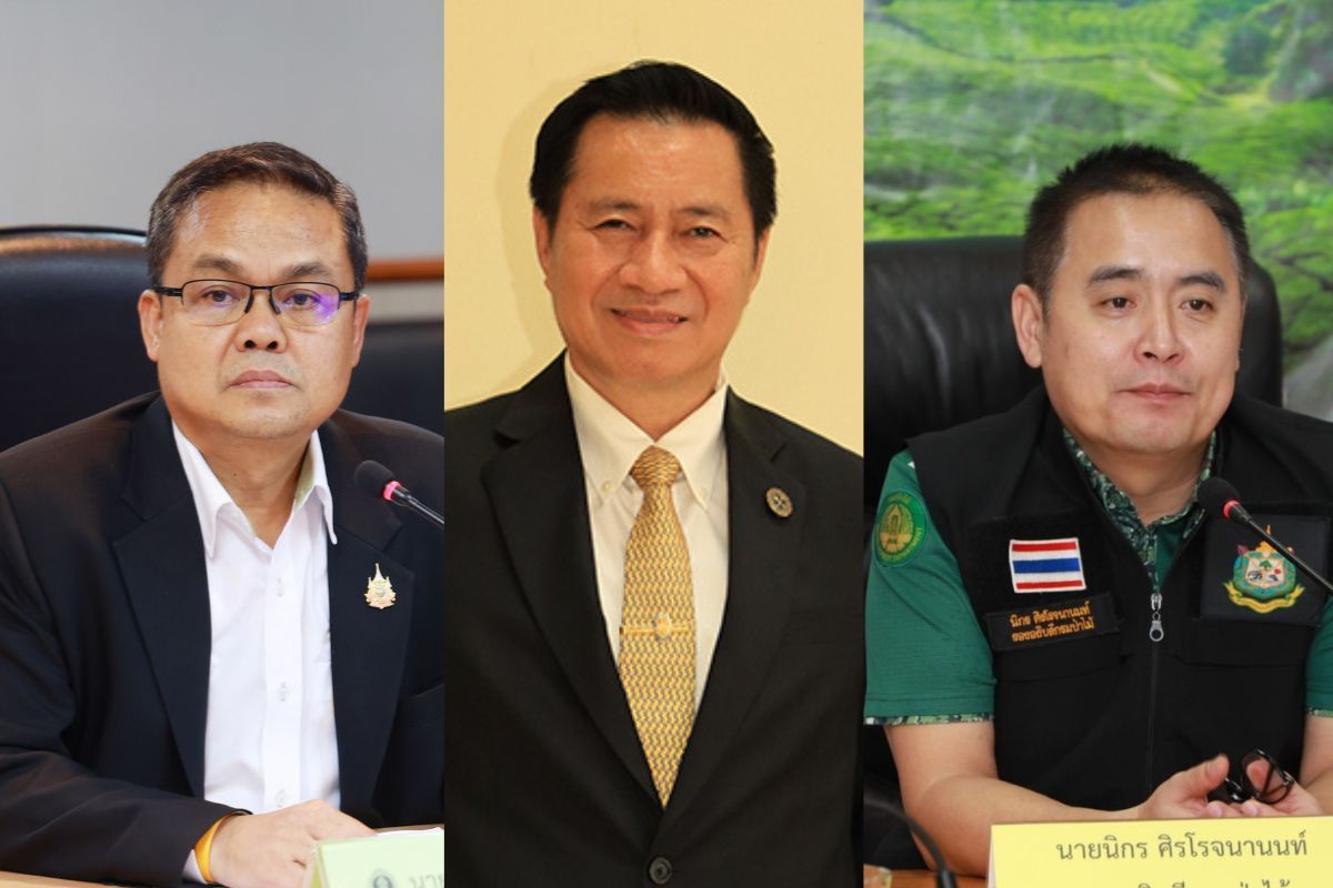 ครม.เห็นชอบตั้งอธิบดีกรมป่าไม้-อธิบดีกรมทรัพยากรธรณี