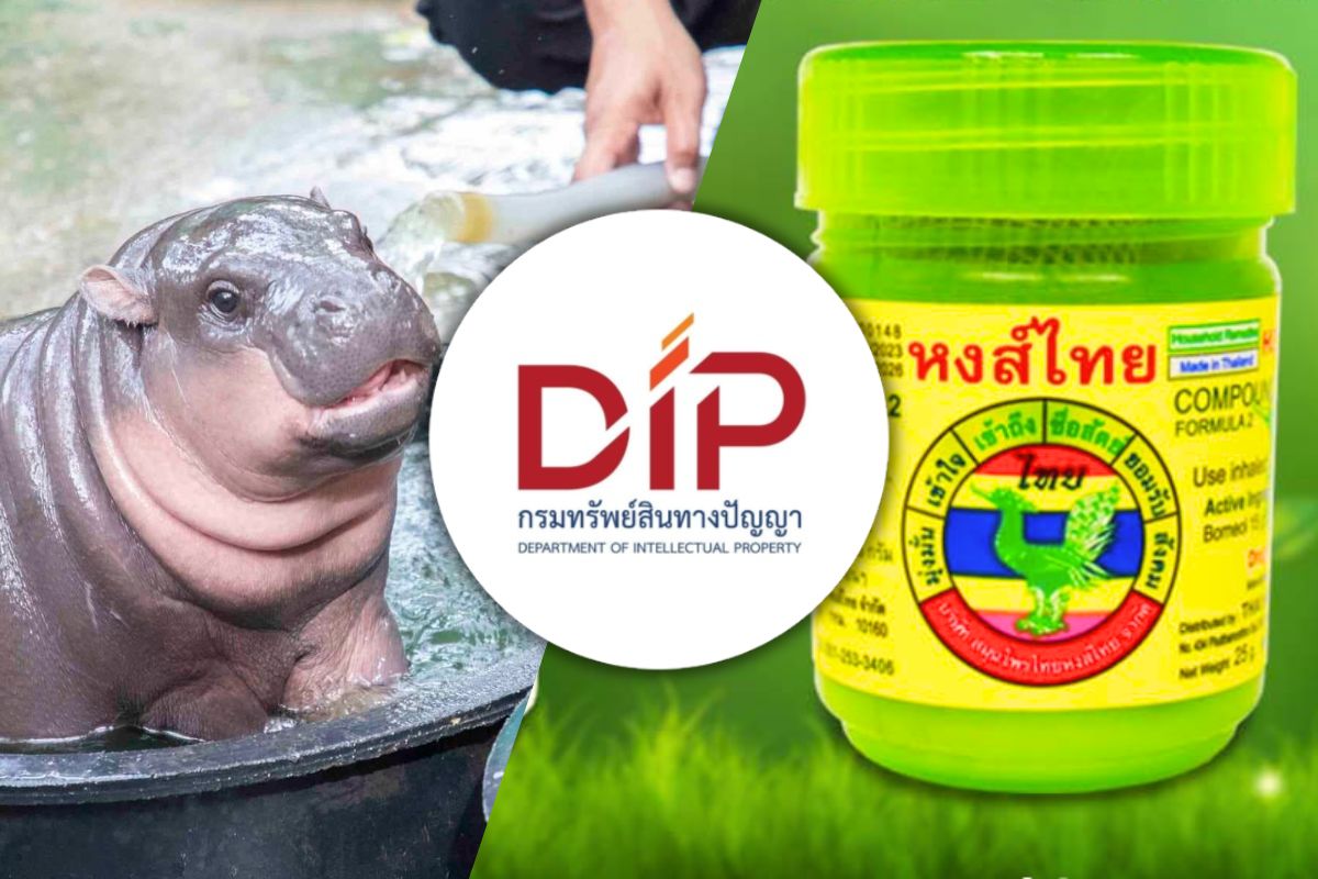 เฝ้าระวังแบรนด์ไทย ถูกละเมิดเครื่องหมายการค้า หมูเด้ง-หงส์ไทย เกือบโดน