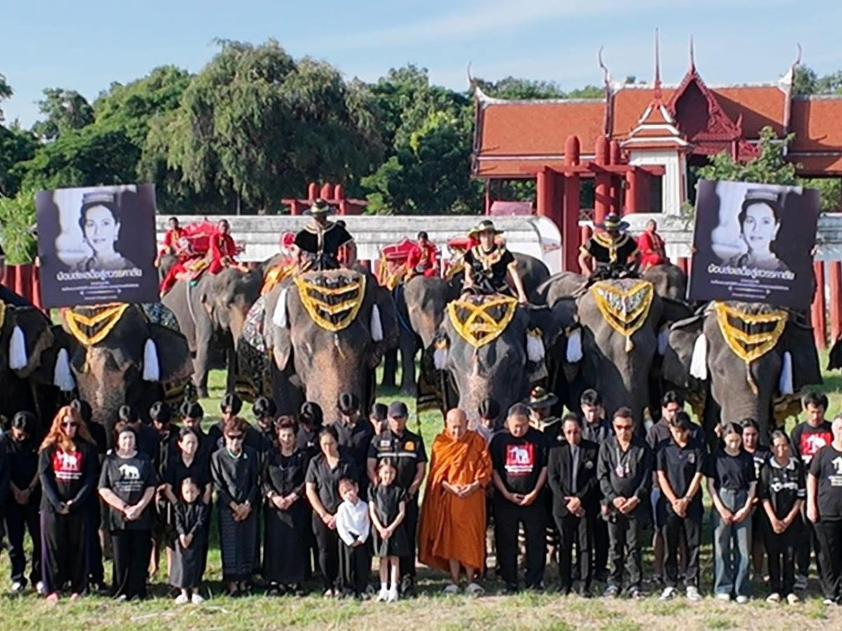 วังช้างอยุธยา นำช้าง 10 เชือก ยืนสงบนิ่ง ถวายความอาลัย ‘พระบรมราชชนนีพันปีหลวง’