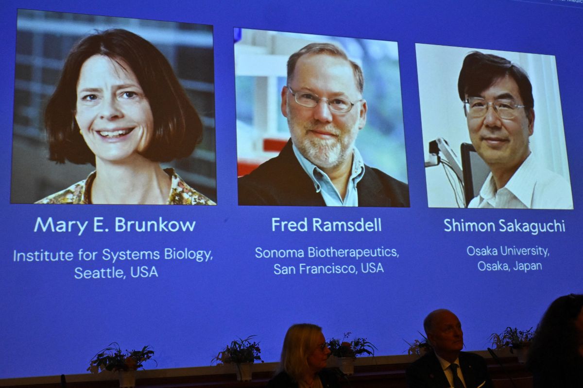 Nobel 2025 ความลับ “กลไกควบคุมภูมิคุ้มกัน” หยุดโรคทำลายตัวเอง