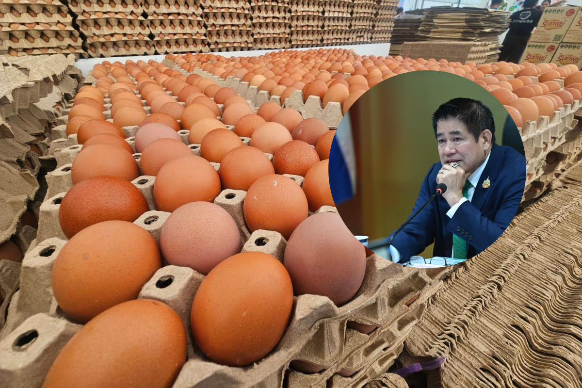 ราคาไข่ไก่ตกฮวบฟองละ 3บาท เหตุลักลอบ-ล้นตลาด “ธรรมนัส” สั่งปราบทันที
