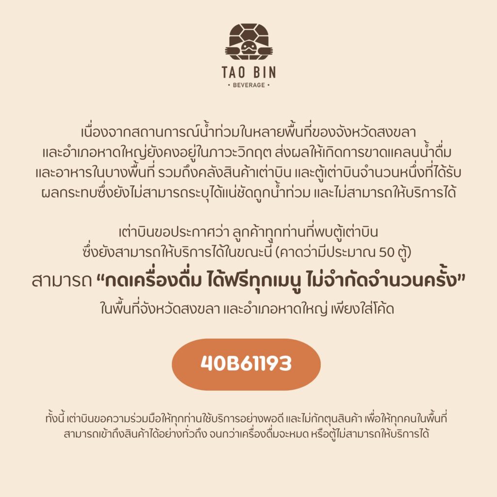 เต่าบิน น้ำท่วม