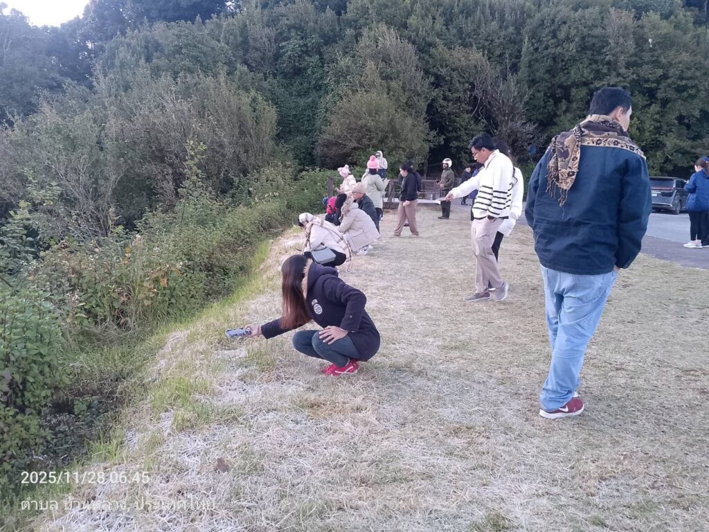 น้ำค้างแข็งบนอุทยานแห่งชาติดอยอินทนนท์ - Doi Inthanon National Park