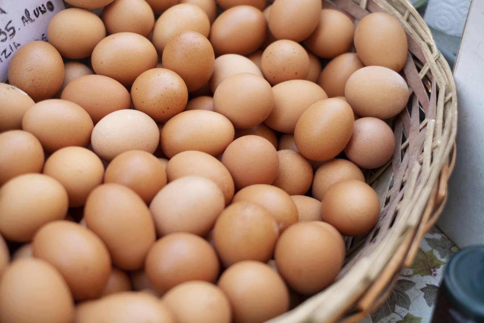 ผู้เลี้ยงไก่ไข่ เข้มป้องกันไข้หวัดนก ย้ำไข่ไทยปลอดภัย–มีเพียงพอ 