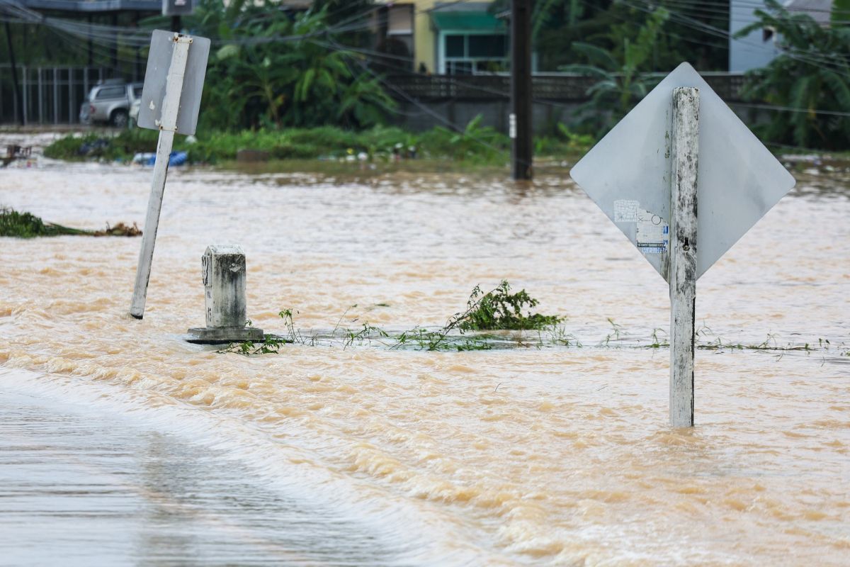 9 จังหวัดใต้ยังท่วม กระทบกว่า 1.1 ล้านครัวเรือน เร่งฟื้นฟูพื้นที่ภายหลังน้ำลด