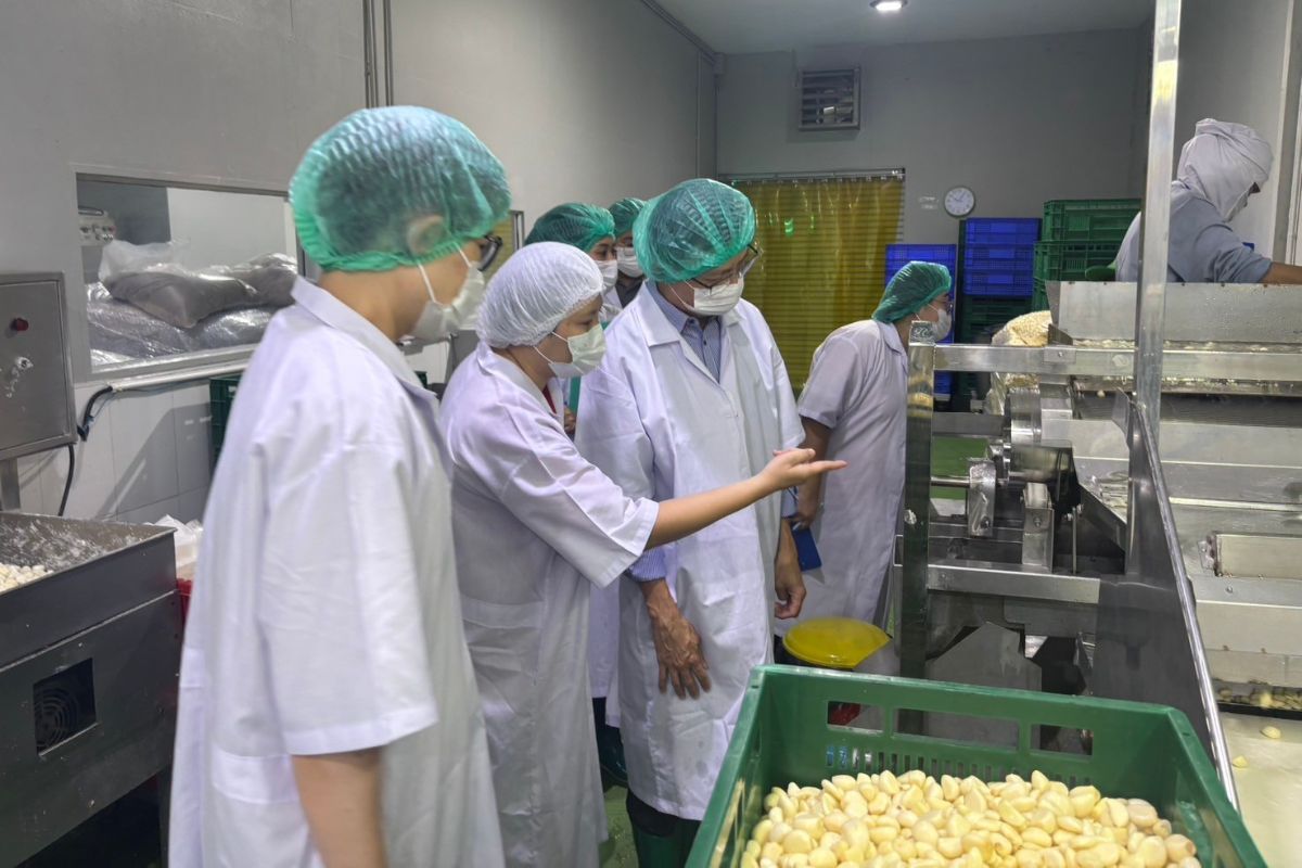 ซีพีเอฟ จับมือ จุฬาฯ-อบก.-สสว.-ดีป้า ร่วมขับเคลื่อน SMEs ไทยสู่ยุค Net Zero