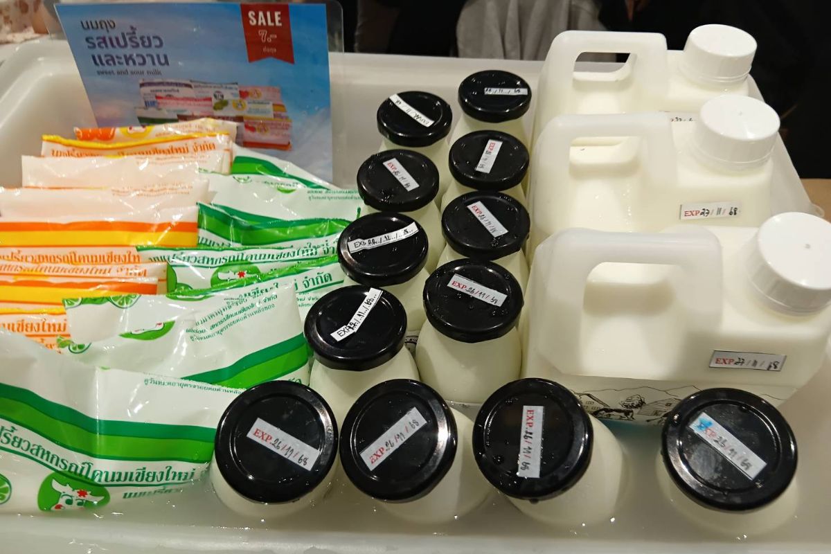 เชียงใหม่ลุยแคมเปญ Drink Milk Save Farmers แก้วิกฤตน้ำนมล้นตลาด