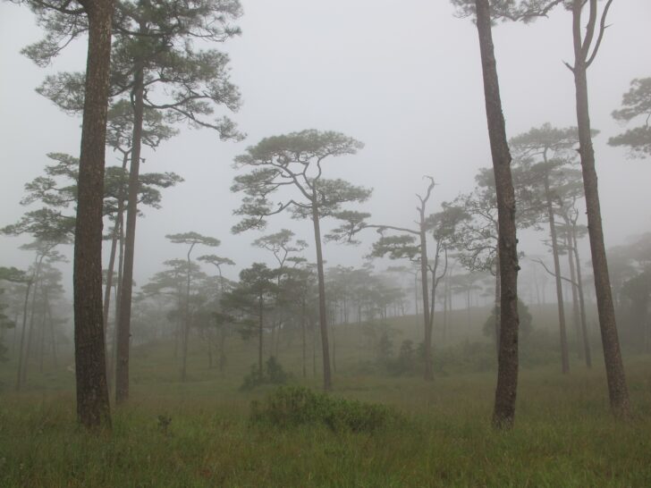 .พยากรณ์อากาศวันนี้ กรมอุตุฯเตือน 14-15 พ.ย.นี้ อุณหภูมิลดลง 1-4 องศา.