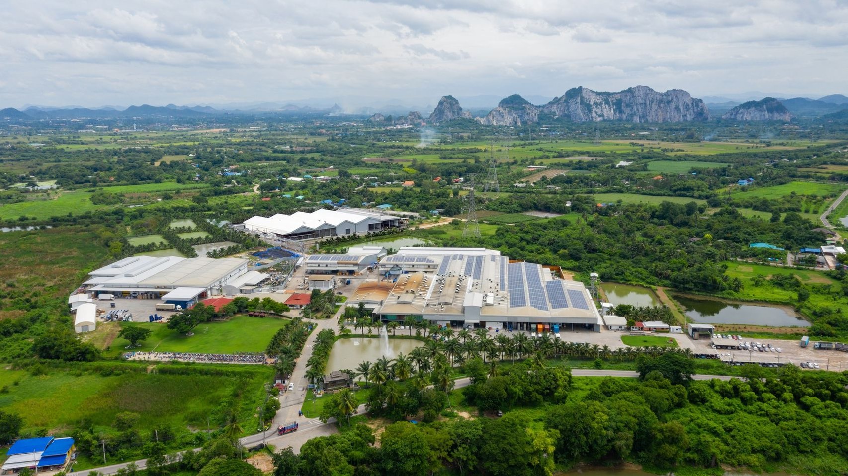 ไทย โคโคนัท ย้ำดำเนินธุรกิจโปร่งใส หนุนตรวจสอบโรงงานน้ำมะพร้าวเต็มที่