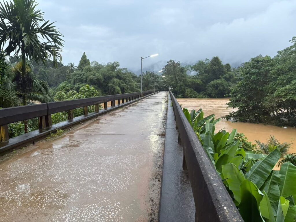 ภาคใต้ฝนถล่ม สุราษฎร์ฯ