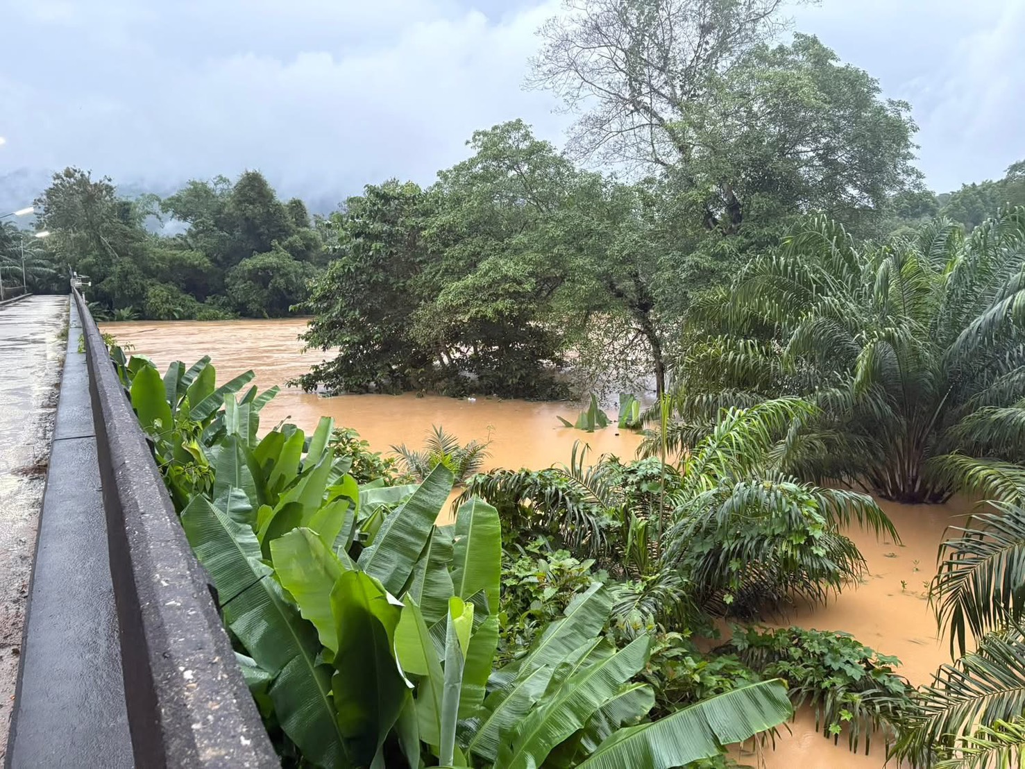 ภาคใต้ฝนถล่ม สุราษฎร์ฯ