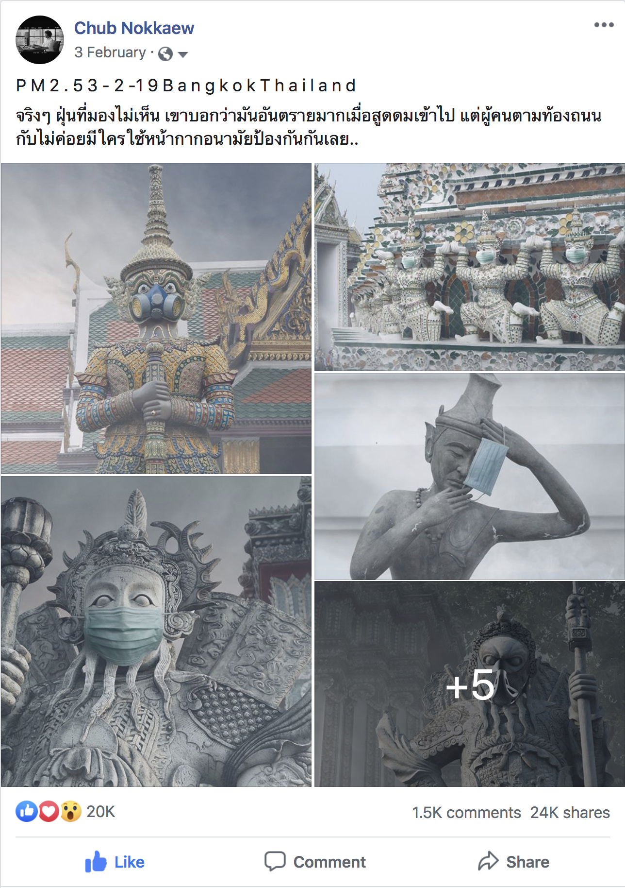 ผลงานส่วนตัวของชุบนกแก้ว