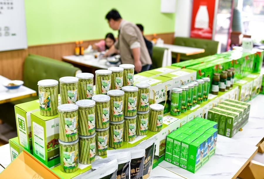 ‘ถงเหริน’ เมืองหลวงมัทฉะจีน เดินหน้าบุกตลาดโลก ส่งออกแล้วกว่า 50 ประเทศ
