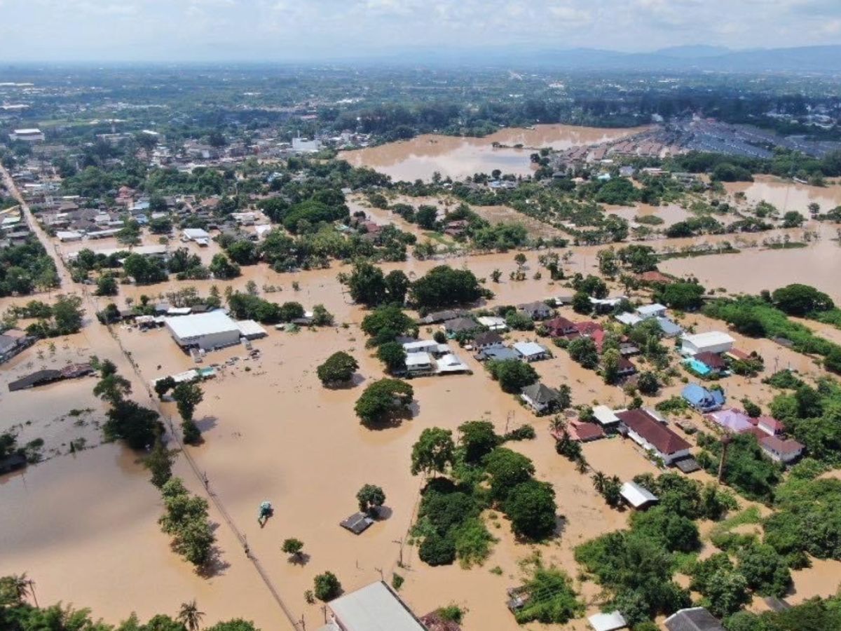 วิธีเช็กสถานะเงินเยียวยาน้ำท่วม 2568 https://flood68.disaster.go.th