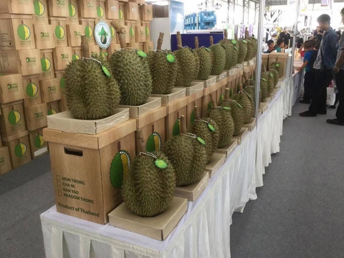 FIF 2025 @จันทบุรี ปลุกเกษตรกรทำ ”ทุเรียนคุณภาพ” สู้ราคาสู้ตลาด