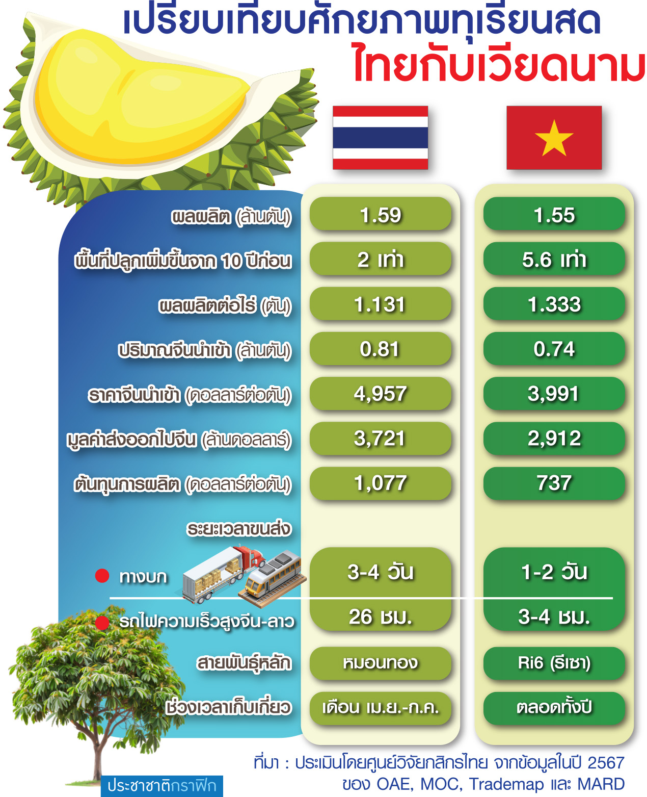 กราฟิกทุเรียน