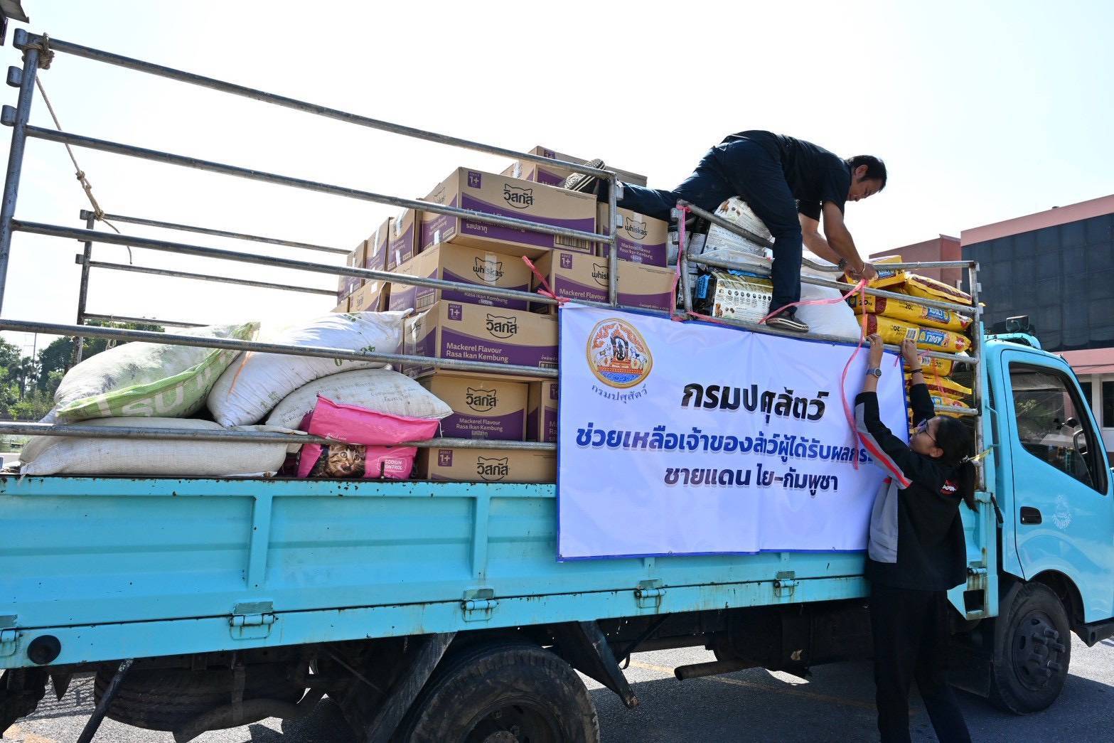 กรมปศุสัตว์ จัดส่งอาหารสัตว์ร่วม 2,000 กก. ช่วยผู้ประสบภัยชายแดนไทย-กัมพูชา