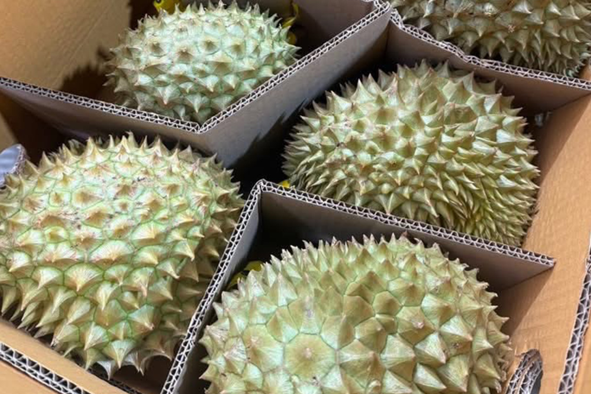 Queen O-Durian Online