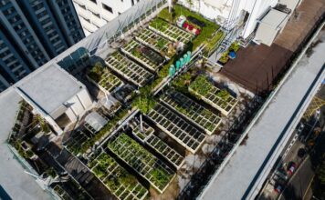 เดอะ พาร์ค เลน ฮ่องกง